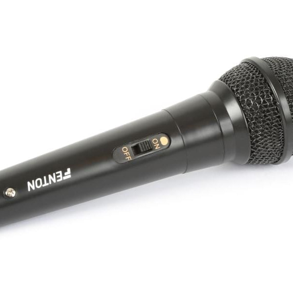 Fenton Mikrofon DM100