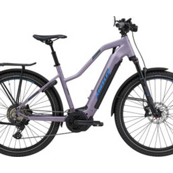 Wheeler i-VISION SPEED GOR grey/turkis  (M)