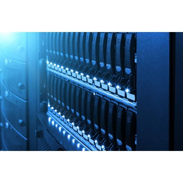 Western Digital Harddisk WD Gold 24 TB 3.5