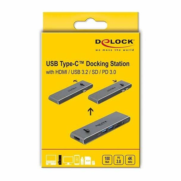 Delock Dockingstation Dual USB Type-C