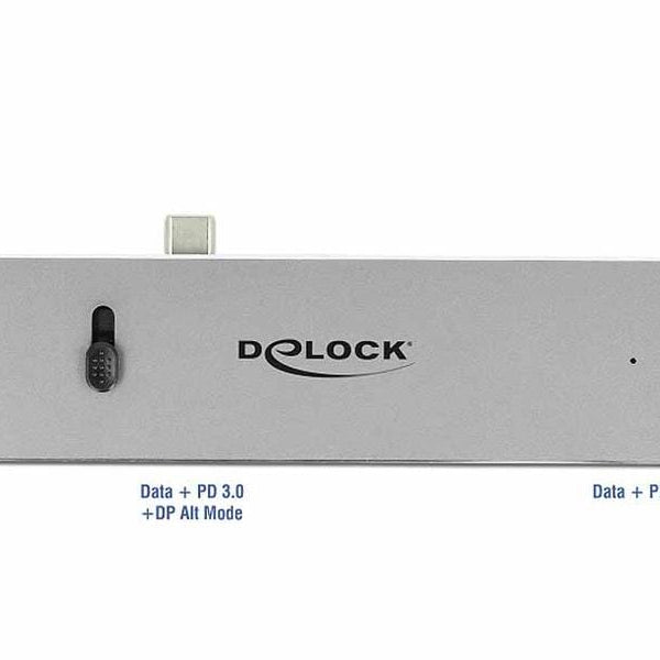 Delock Dockingstation Dual USB Type-C