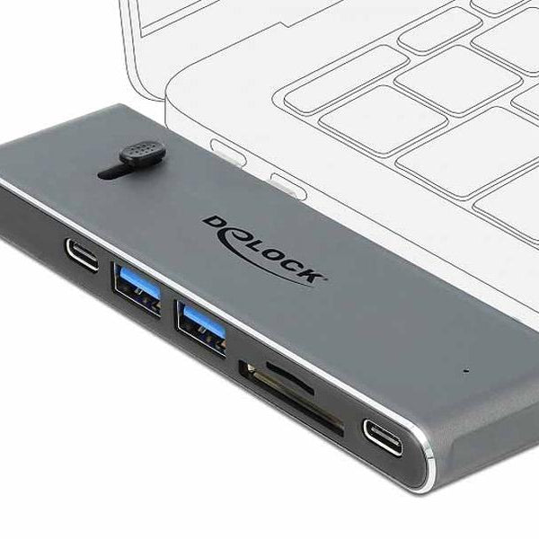 Delock Dockingstation Dual USB Type-C