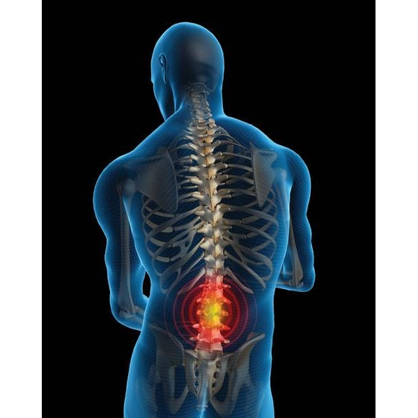 Bodi-Tek Back Magic Plus