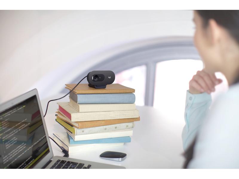 Logitech Webcam C505e HD Bulk