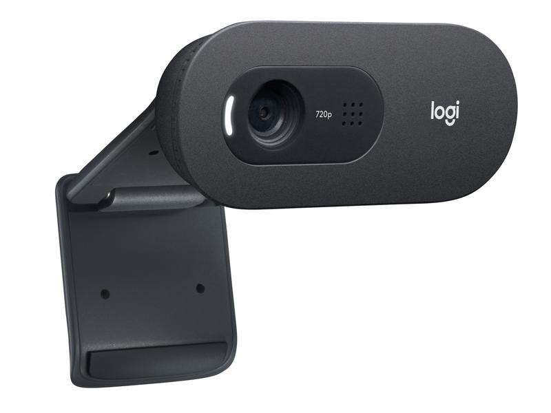 Logitech Webcam C505e HD Bulk