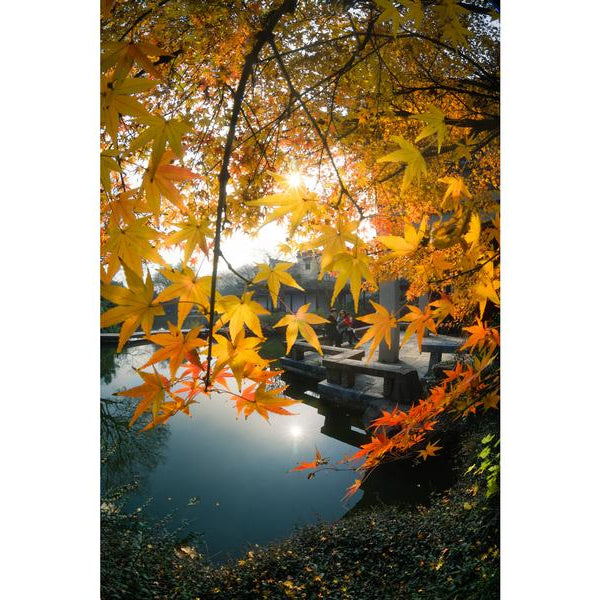 7Artisans Festbrennweite 7.5mm F/2.8 Fisheye Mark II – Nikon Z