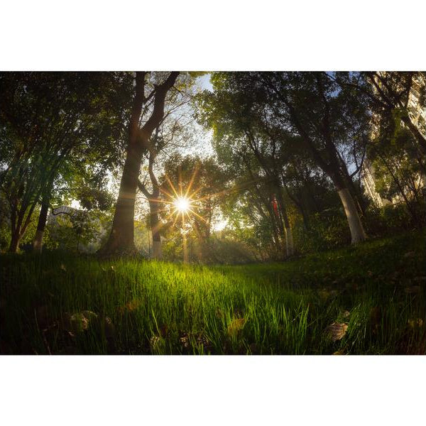 7Artisans Festbrennweite 7.5mm F/2.8 Fisheye Mark II – Nikon Z