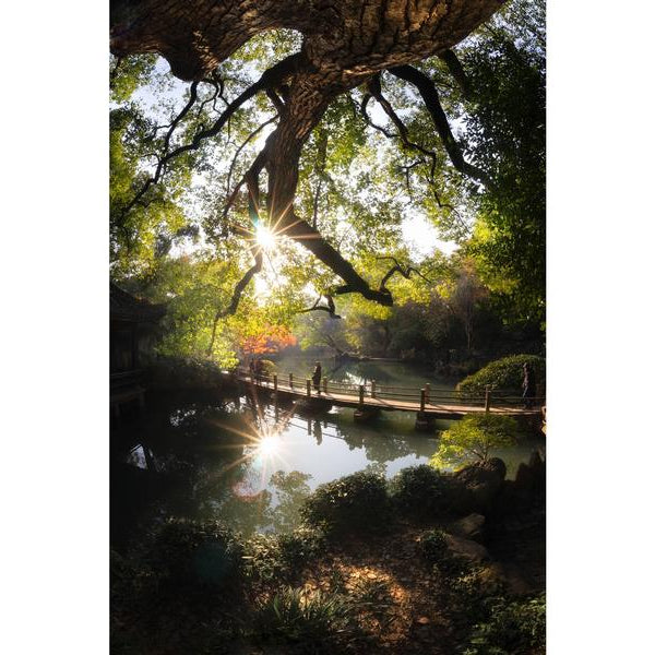 7Artisans Festbrennweite 7.5mm F/2.8 Fisheye Mark II – MFT