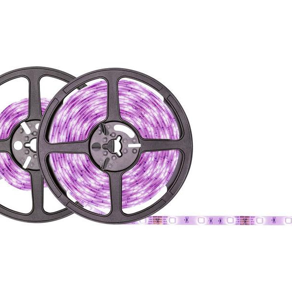 Paulmann LED-Stripe SimpLED RGB, 7.5 m Rolle