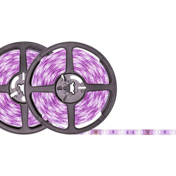 Paulmann LED-Stripe SimpLED RGB, 10 m Rolle