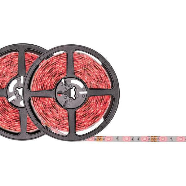 Paulmann LED-Stripe SimpLED RGB, 10 m Rolle