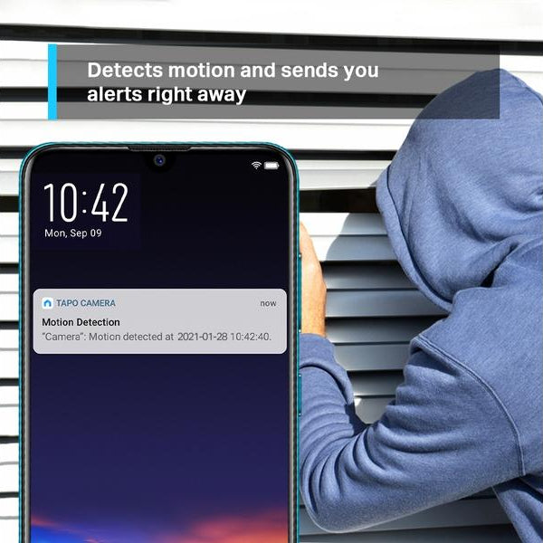 TP-Link Netzwerkkamera Tapo C210