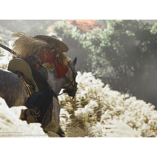 Sony Ghost of Tsushima: Director`s Cut [PS5] (D/F/I)