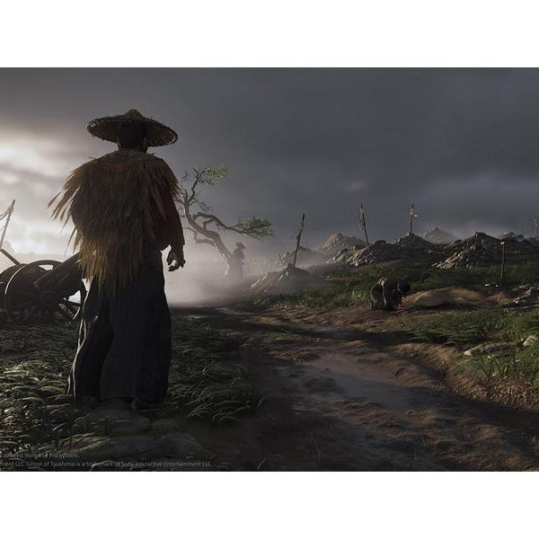 GAME Ghost of Tsushima: Director`s Cut