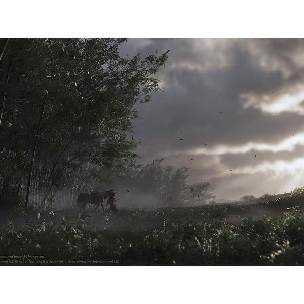 GAME Ghost of Tsushima: Director`s Cut