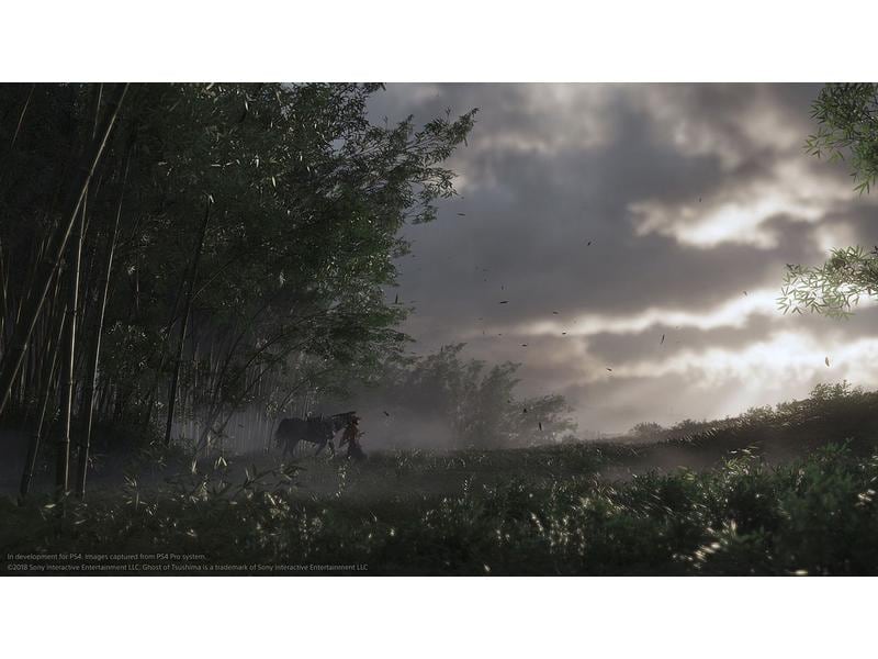 GAME Ghost of Tsushima: Director`s Cut