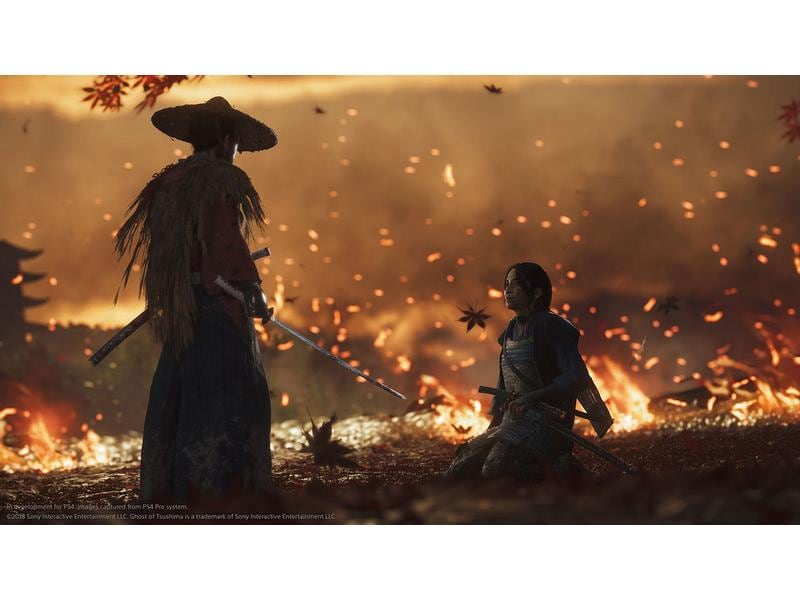 GAME Ghost of Tsushima: Director`s Cut