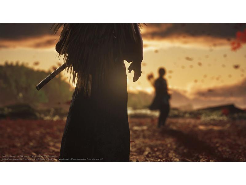 GAME Ghost of Tsushima: Director`s Cut
