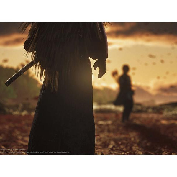 Sony Ghost of Tsushima: Director`s Cut [PS5] (D/F/I)