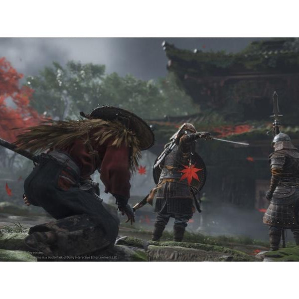 GAME Ghost of Tsushima: Director`s Cut