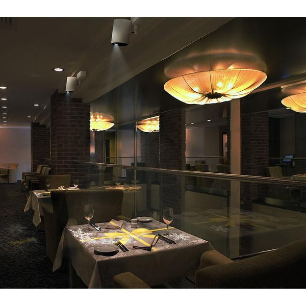 Epson Projektor LightScene EV-115