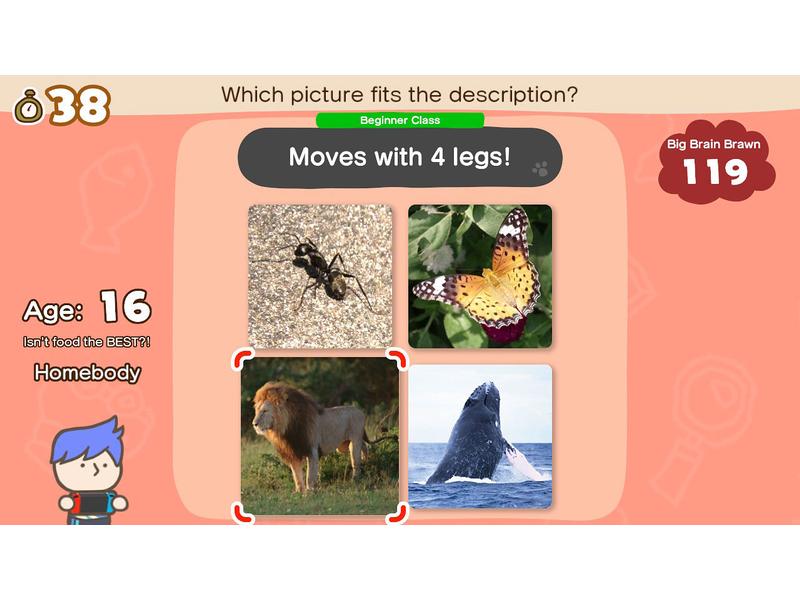 Nintendo Big Brain Academy: Kopf an Kopf