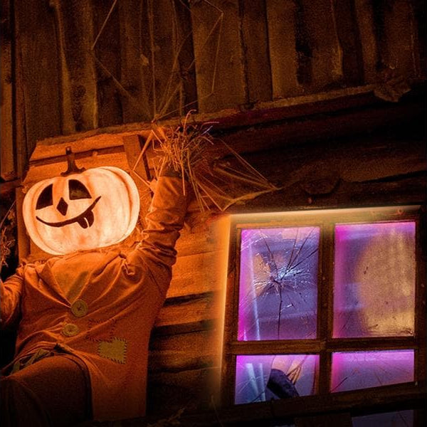 TP-Link Smart RGB-WLAN Lichtstreifen