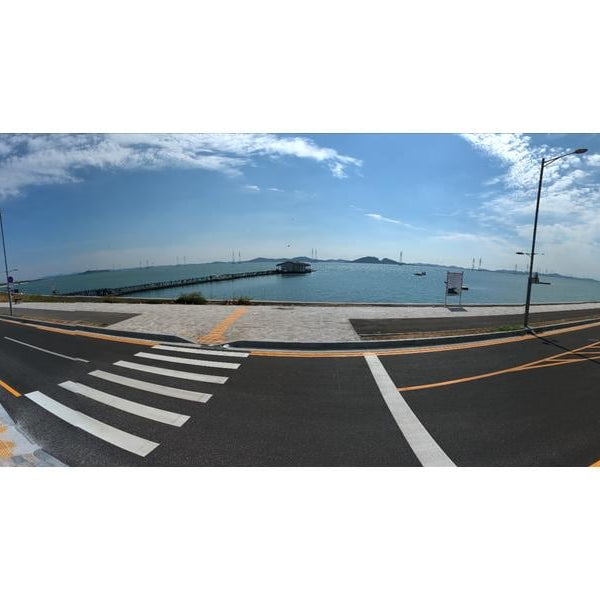 Hanwha Vision Netzwerkkamera PNM-9031RV