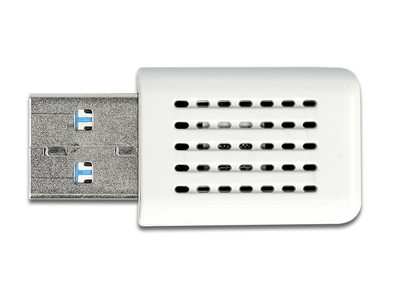 Delock WLAN-AC USB-Stick