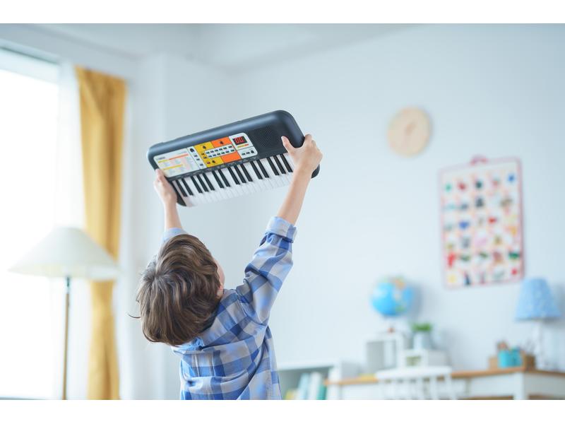 Yamaha Mini Keyboard PSS-F30