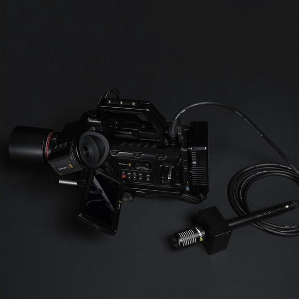 Lewitt Mikrofon Interviewer