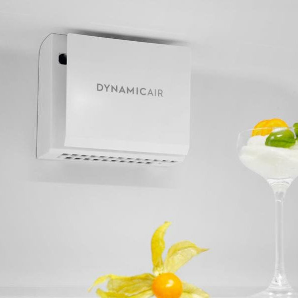 Electrolux Kühlschrank SC310, Rechts/Wechselbar