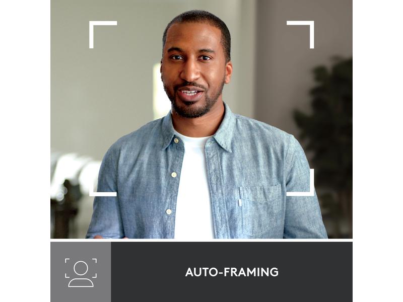 Logitech Webcam Brio 500 Graphite