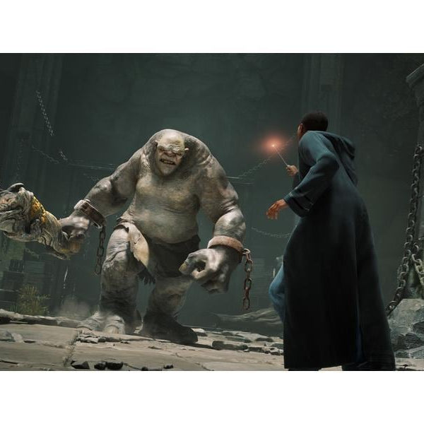 Warner Bros. Interactive Hogwarts Legacy