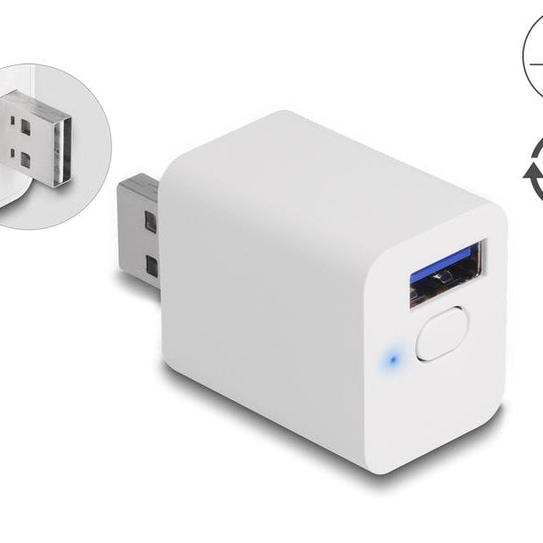 Delock WLAN EASY-USB Smart Schalter MQTT