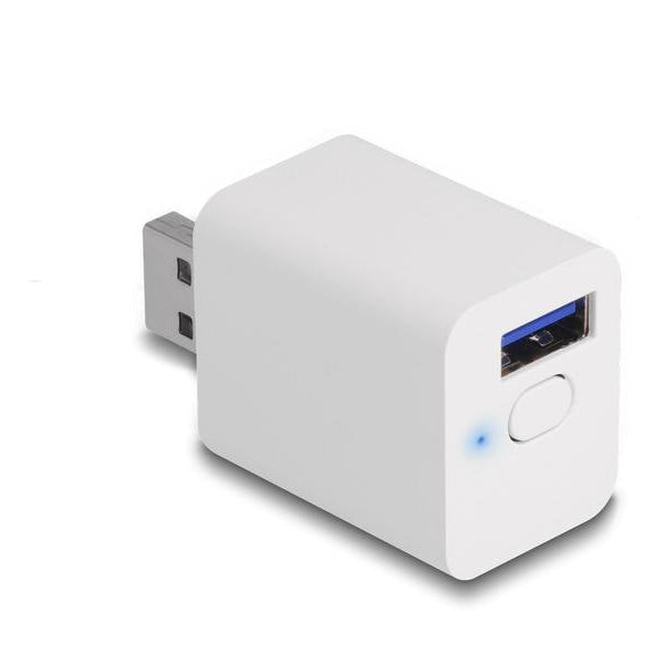 Delock WLAN EASY-USB Smart Schalter MQTT