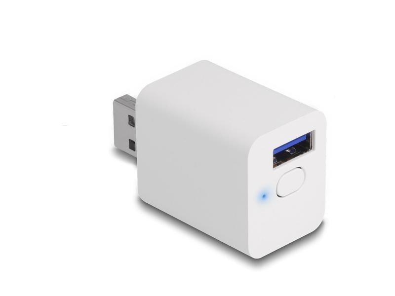 Delock WLAN EASY-USB Smart Schalter MQTT