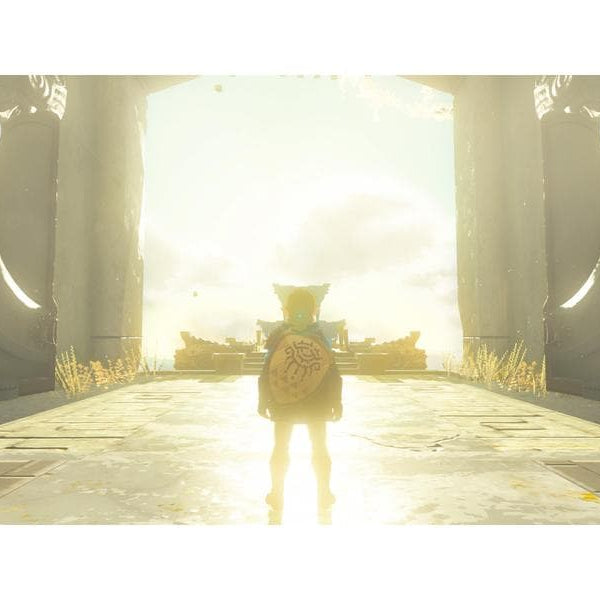 Nintendo The Legend of Zelda: Tears of the Kingdom