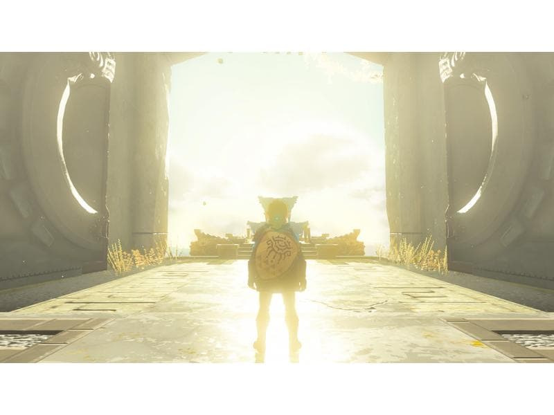 Nintendo The Legend of Zelda: Tears of the Kingdom