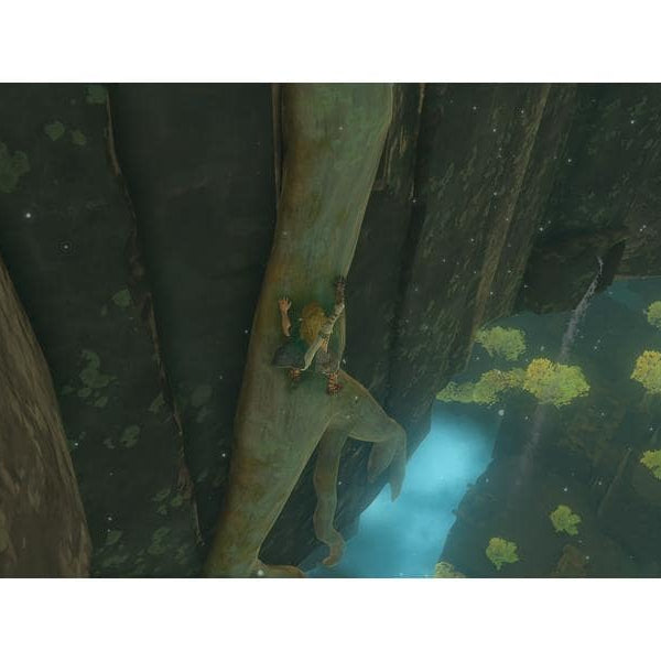 Nintendo The Legend of Zelda: Tears of the Kingdom