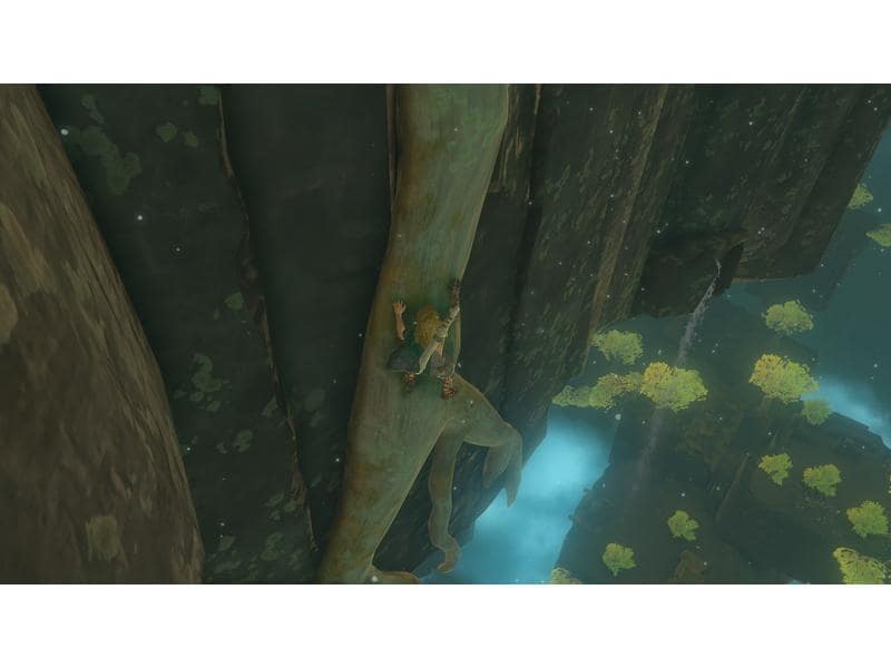 Nintendo The Legend of Zelda: Tears of the Kingdom