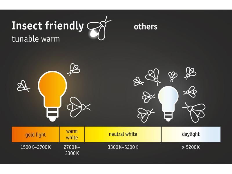 Paulmann LED Aussenwandleuchte Ikosea, Smart Home Zigbee 3.0