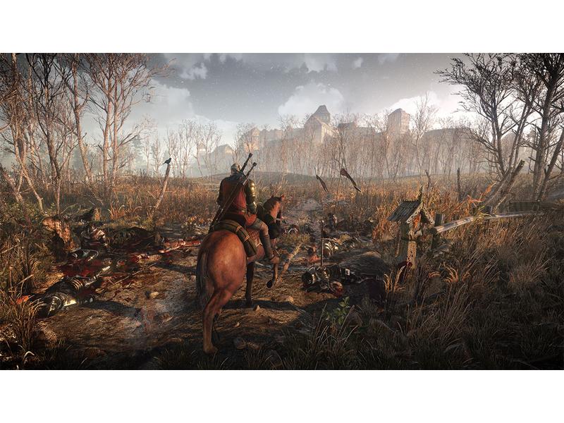 Bandai Namco The Witcher 3: Wild Hunt
