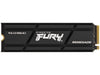 Kingston SSD FURY Renegade M.2 2280 NVMe 500 GB  Heatsink