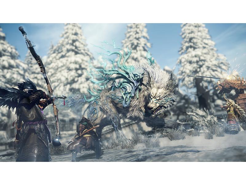 Electronic Arts Wild Hearts