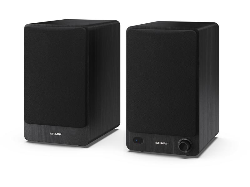 Sharp Regallautsprecher Paar CP-SS30 – Schwarz
