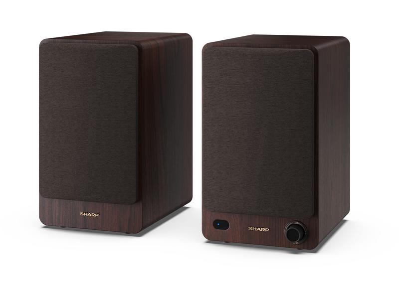 Sharp Regallautsprecher Paar CP-SS30 – Braun