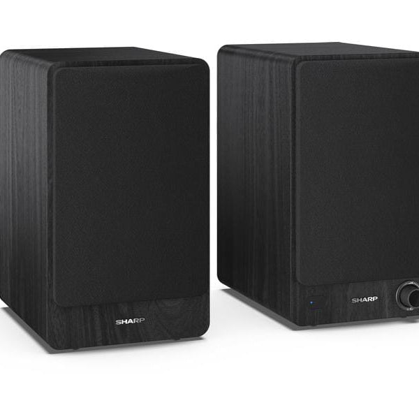 Sharp Regallautsprecher Paar CP-SS30 – Schwarz