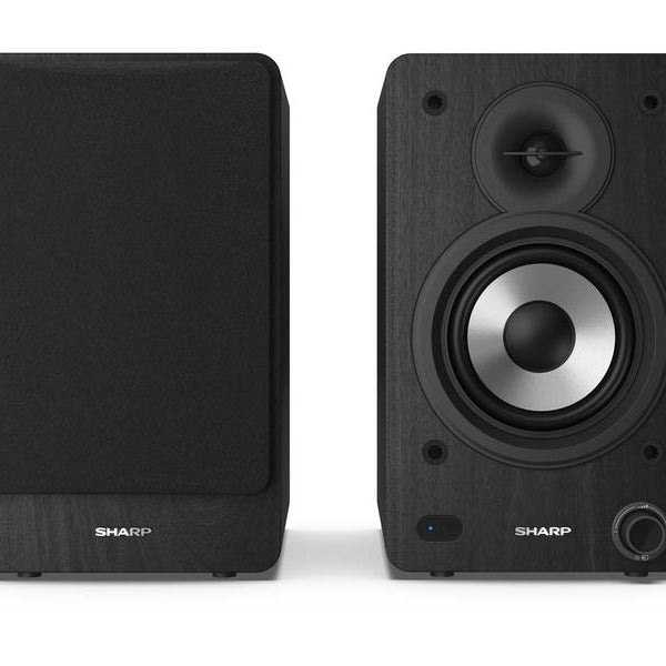 Sharp Regallautsprecher Paar CP-SS30 – Schwarz