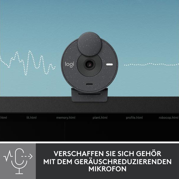 Logitech Webcam Brio 300 Graphite